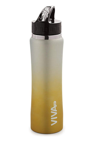 Stainless Steel Water Bottle, Double Wall Vacuum Insulated Travel Mug 100% Leak & Sweat Proof BPA Free, Cold 12 Hrs / Hot 12 Hrs Perfect for Camping, Cycling, Gym, School 750 ML by VIVA h2o